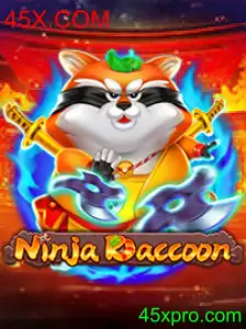 NinjaRaccoon